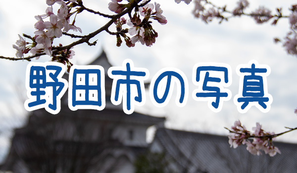 野田市写真
